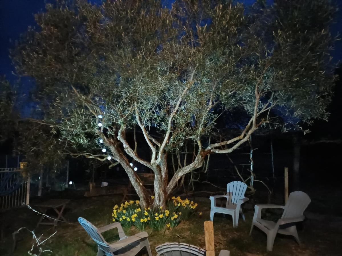 Bed and Breakfast Au Beaulieu Beaulieu  Esterno foto